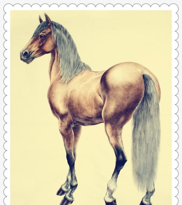 关于马的文化有哪些,关于马的中国文化知识图3