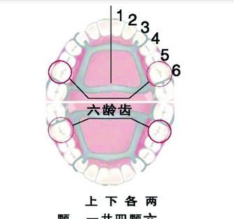 牛一共有几个图4