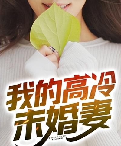 我的高冷未婚妻(许木夏雨晴)全本小说最新章节免费阅读