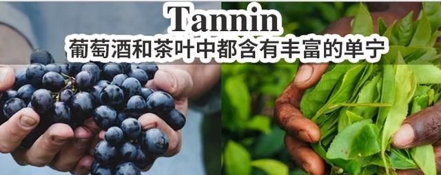 这些花里胡哨的红酒到底有什么区别？直到喝过100款西拉和赤霞珠