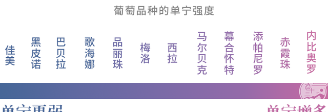 这些花里胡哨的红酒到底有什么区别？直到喝过100款西拉和赤霞珠