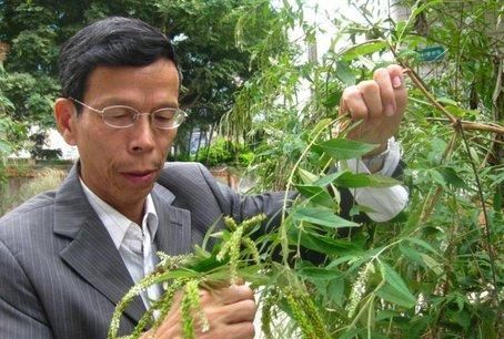 带你认识27种泉州“国宝级”野生植物