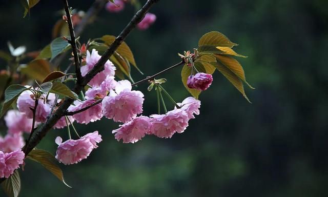 今日立春｜咬春、鞭春牛、游春······这些习俗，讲给孩子听→