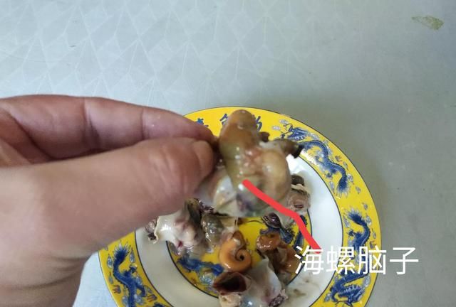 吃海螺，尾部是黄还是屎？能不能吃？弄明白再决定不吃亏