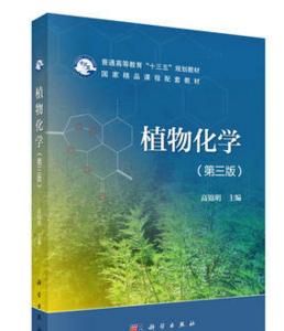 植物化学物具有什么作用图7