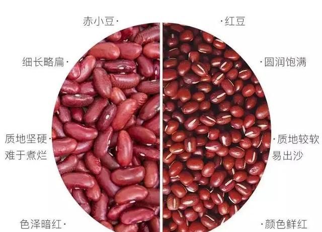 红豆薏米煮水能祛湿吗,薏米红豆茯苓芡实祛湿图1