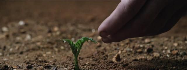 火星救援：多个镜头，影片中的绿芽到底有何寓意？