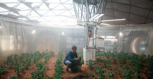 火星救援：多个镜头，影片中的绿芽到底有何寓意？