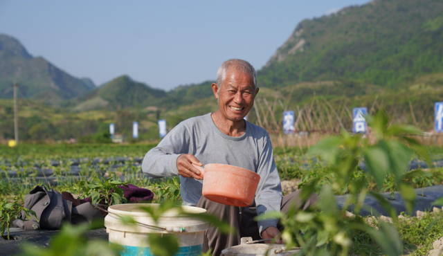 同样是氮肥，尿素、碳铵、氯化铵、硝酸铵等如何正确挑选与使用？