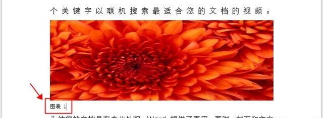 从事工作三年，现在才知道Word图片也可以批量自动编号！