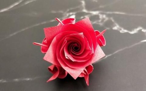 教你折纸浪漫的玫瑰花简单又漂亮