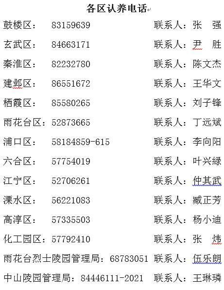 南京为古树名木装避雷针 个人100元起即可认养