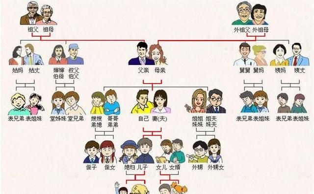 直系亲属包括哪些人(直系亲属包括哪些人堂妹)图1