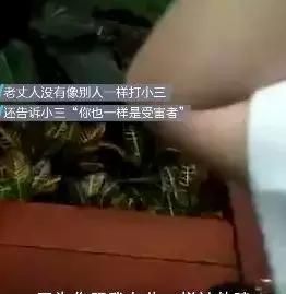 渣男！老婆怀孕，男子带小三旅游，岳父母捉奸，旅行箱里装的全是…