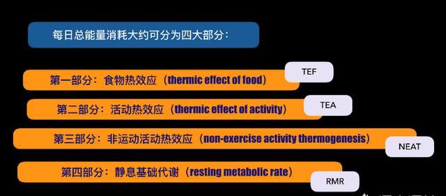 椭圆机减肥效果如何 (健身房椭圆机减肥效果)图1