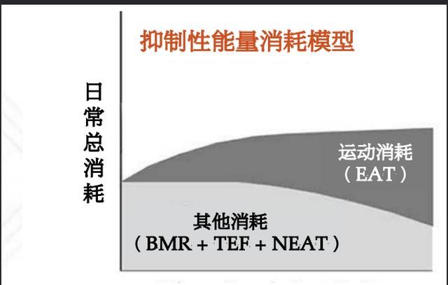 椭圆机减肥效果如何 (健身房椭圆机减肥效果)图3