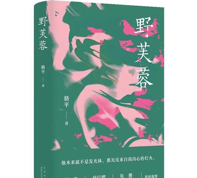 骆平长篇小说《野芙蓉》| 一部属于女性的心灵成长史