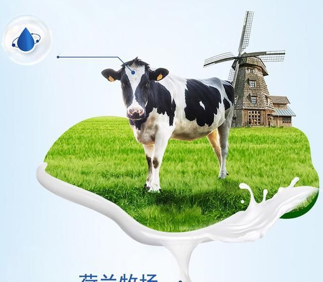 Nutrilon为什么被叫做荷兰牛栏，解析荷兰牛栏名称的前世今生