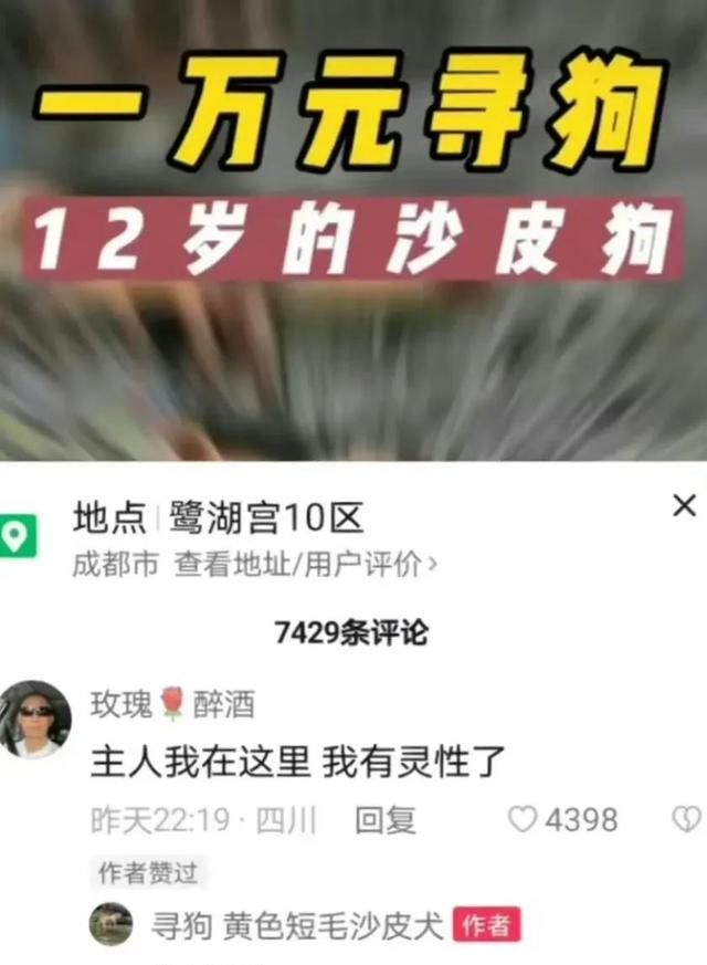 沙雕网友日常:无法拒绝的辞职理由