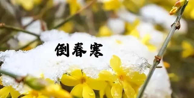 “一年两个春，寡妇遍地分”！今年倒春寒，50岁以上的人要注意！