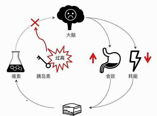 为什么感觉喝白开水都长胖(到了喝白开水都会长胖的年纪)图2