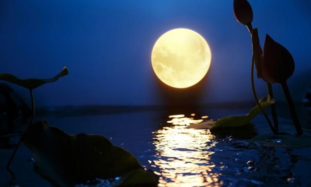 苏轼关于中秋赏月的4句经典诗词，唯美感人，句句令人心醉！