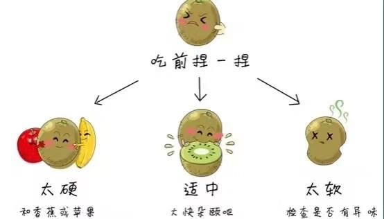 猕猴桃怎么催熟(猕猴桃怎么催熟蚂蚁庄园)图6