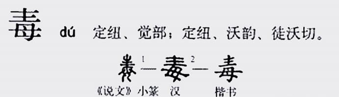 母亲如此伟大为何毒字里面有母字图1