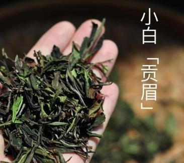 哪里的白茶最好,最好的白茶品牌图7