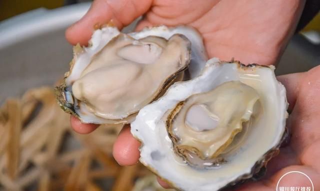 银川独特小馆高压锅蒸生蚝，葱油粉太独特