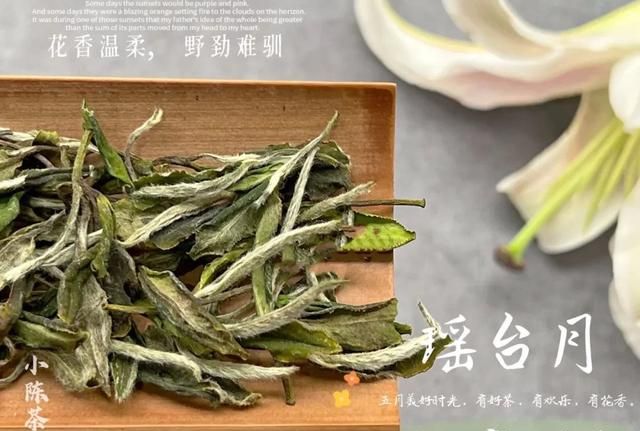 白茶明明绿色更多，为什么要叫“白茶”？它和绿茶有什么区别？