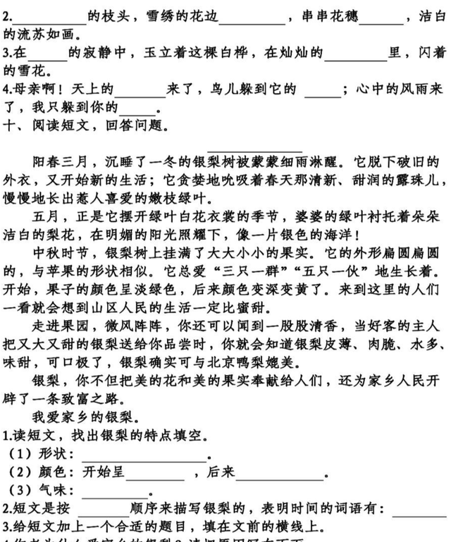 「期中」语文4年级（下）：第1-4单元基础知识复习卷