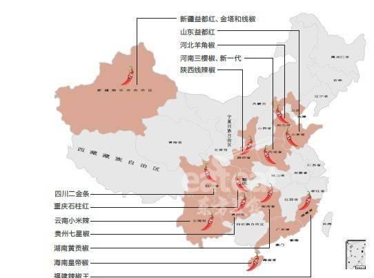 辣椒的品种有多少(露地辣椒最好品种)图1