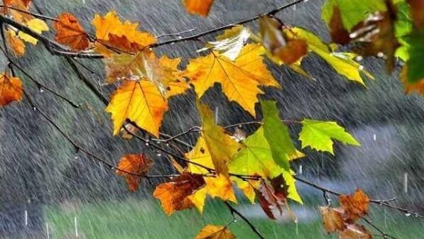 《秋天的雨》句子仿写，坚持天天练，作文就不难
