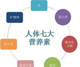 吃虾可以不去壳吗,虾可以直接吃吗不去壳图3