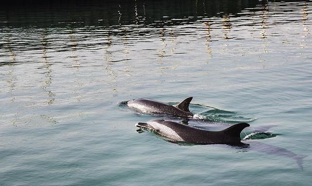 海南省旅游-陵水分界洲岛