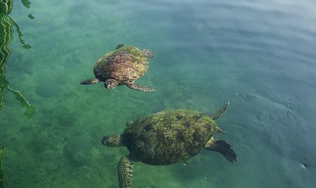 海南省旅游-陵水分界洲岛