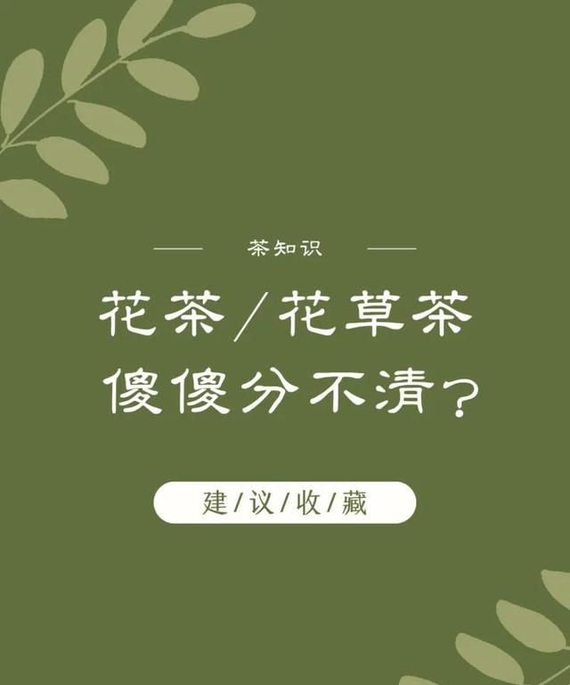 花茶/花草茶？一字就是天壤之别！