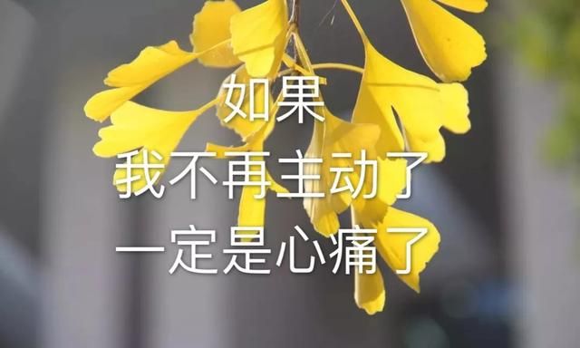 心情不好的时候适发朋友圈的句子