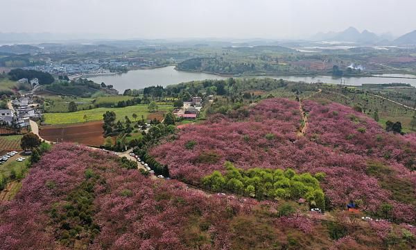 二十四节气