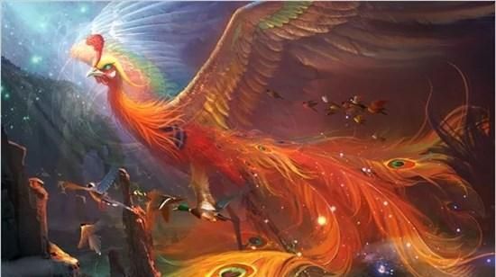 百禽之王的神鸟凤凰，它究竟起源自何方，又是否真的存在过？