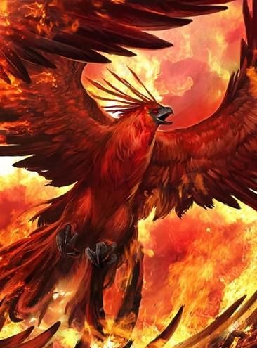 百禽之王的神鸟凤凰，它究竟起源自何方，又是否真的存在过？