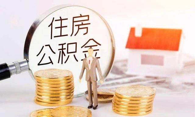 公积金怎么计算(公积金怎么计算基数)图1