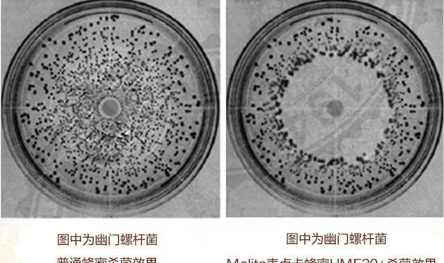 变质的蜂蜜可以拿来做什么,蜂蜜变质了能做什么图4