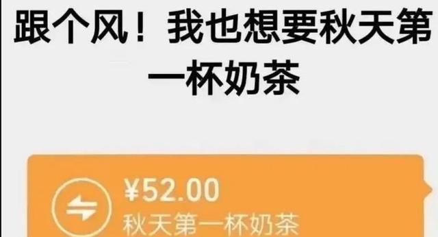 秋天的第一杯奶茶到底是什么梗(秋天一杯奶茶的梗简短怎么解释)图2