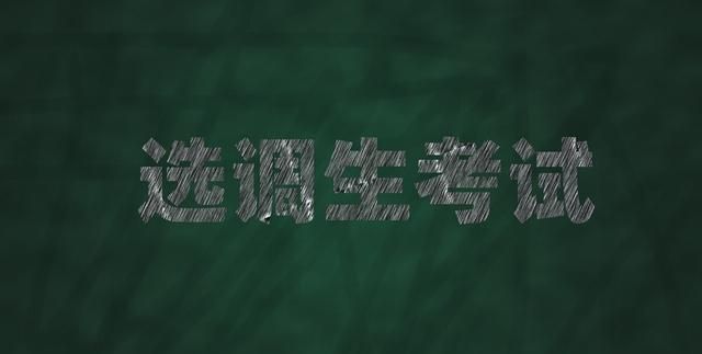 选调生跟选调公务员有什么区别,名校优生选调和正常的选调生区别图2