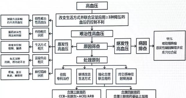 高血压如何降压饮食要注意事项图8