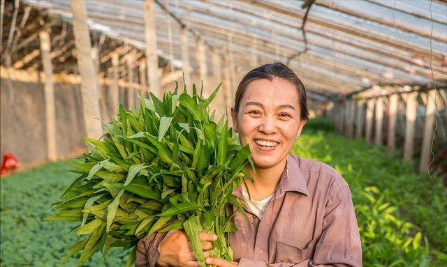 小满过后，这8种蔬菜可以种植，耐高温，7-8月收获，菜农们别错过