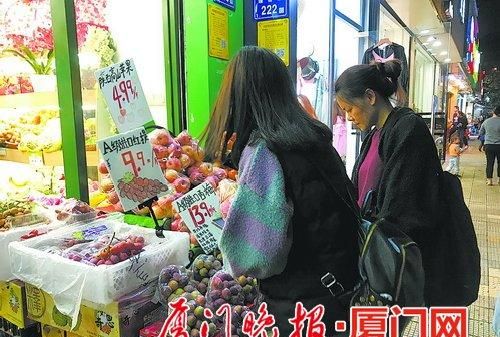 厦门：新疆西梅夏季上市　甜度会比进口的高