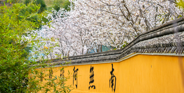 美到骨子里的寺院传统建筑！百家古建龙头企业惊艳亮相厦门佛事展